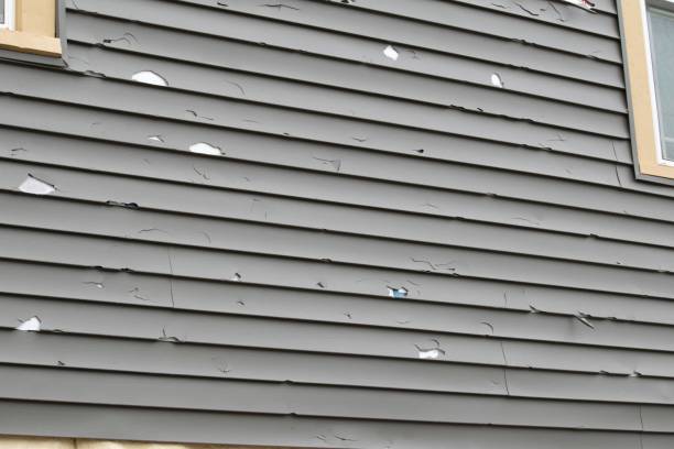 Best Dumpster Rental Services  in Inverness, CA